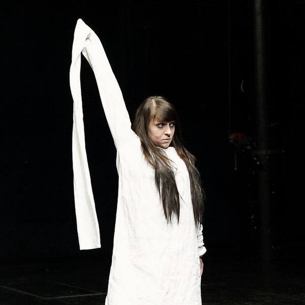 Dvacet tisíc stránek - Lukas Bärfuss